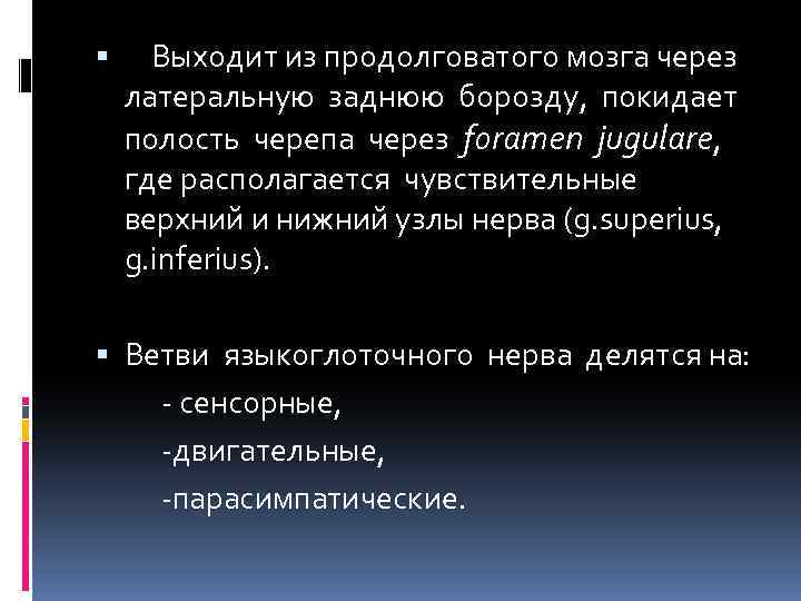  Выходит из продолговатого мозга через латеральную заднюю борозду, покидает полость черепа через foramen