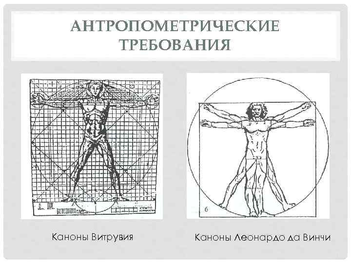 Антропометрическая карта студента