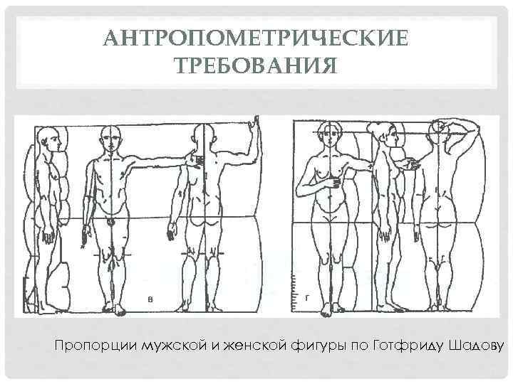 Антропометрические данные для кадетского корпуса образец