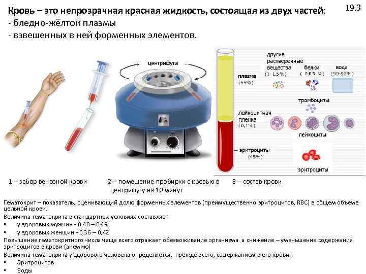 Кровь – это непрозрачная красная жидкость, состоящая из двух частей: - бледно-жёлтой плазмы -