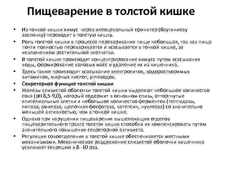 Пищеварение в толстой кишке • • Из тонкой кишки химус через илеоцекальный сфинктер (баугиниеву