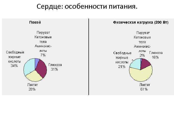 Сердце: особенности питания. 