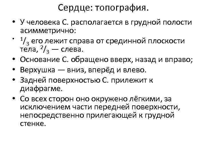 Сердце: топография. • У человека С. располагается в грудной полости асимметрично: • 1/ его