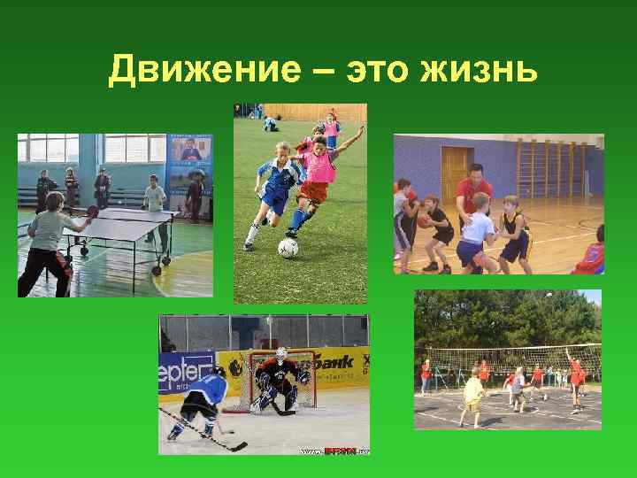 Движение – это жизнь 