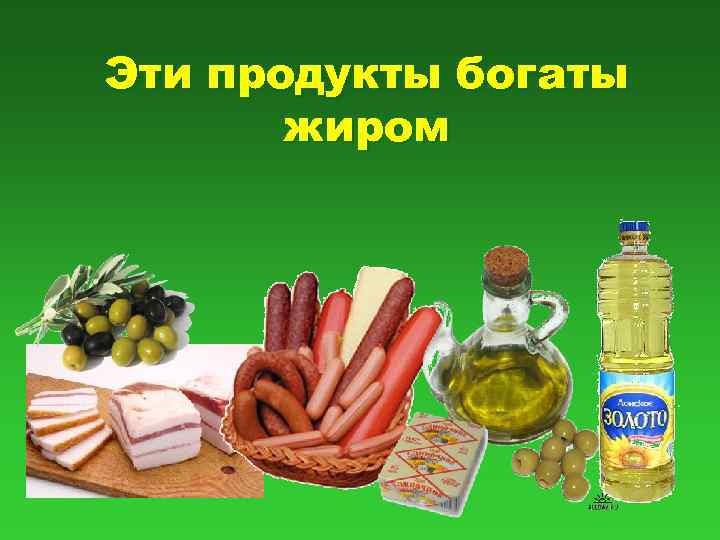 Эти продукты богаты жиром 