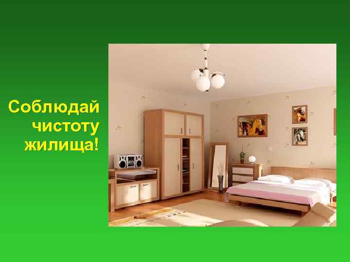 Соблюдай чистоту жилища! 
