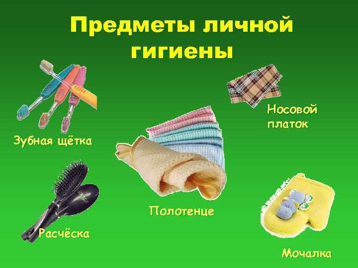 Предметы личной гигиены Носовой платок Зубная щётка Полотенце Расчёска Мочалка 