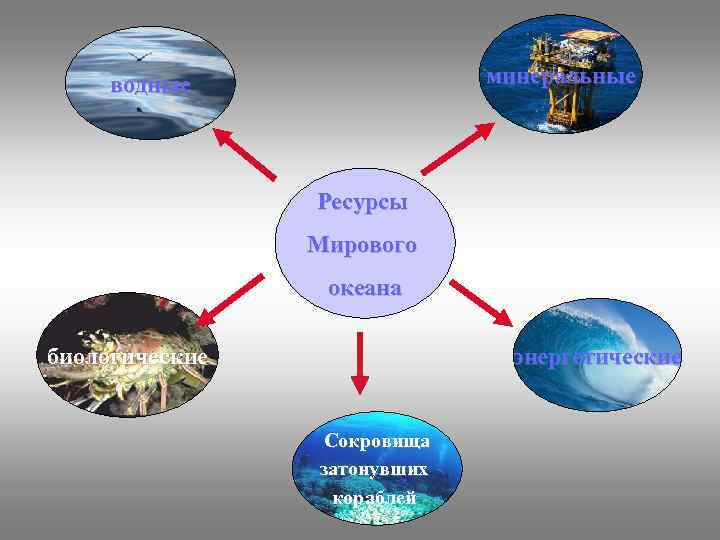 минеральные водные Ресурсы Мирового океана биологические энергетические Сокровища затонувших кораблей 