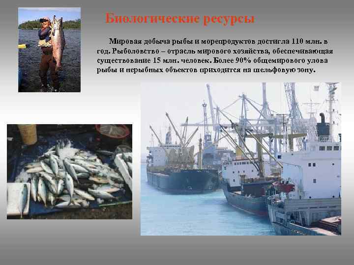 Биологические ресурсы Мировая добыча рыбы и морепродуктов достигла 110 млн. в год. Рыболовство –