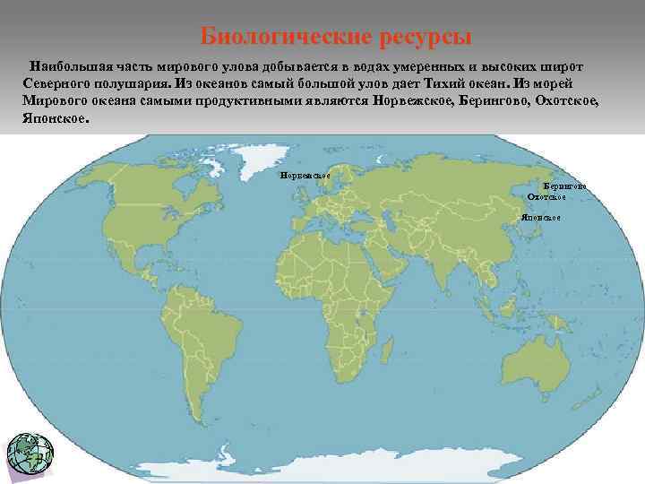 Биологические ресурсы Наибольшая часть мирового улова добывается в водах умеренных и высоких широт Северного