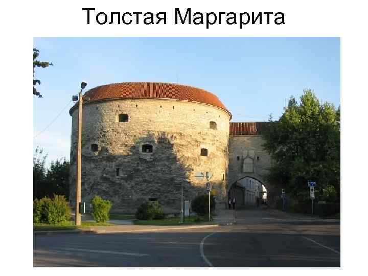 Толстая Маргарита 