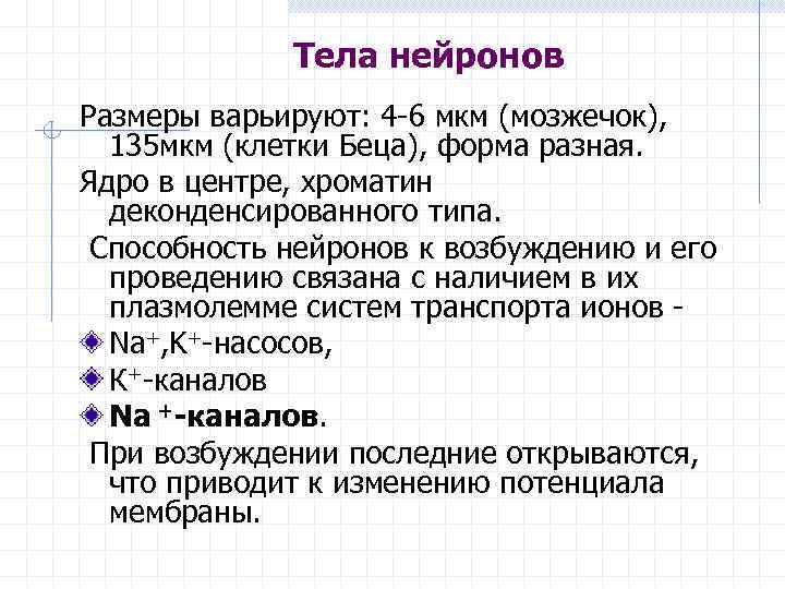 Тела нейронов Размеры варьируют: 4 -6 мкм (мозжечок), 135 мкм (клетки Беца), форма разная.