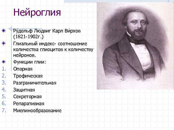 Нейроглия 1. 2. 3. 4. 5. 6. 7. Ру дольф Людвиг Карл Ви рхов