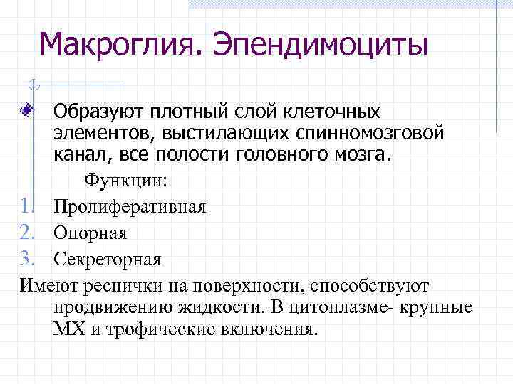 Макроглия. Эпендимоциты Образуют плотный слой клеточных элементов, выстилающих спинномозговой канал, все полости головного мозга.