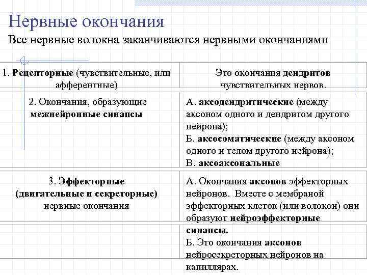Нервные окончания Все нервные волокна заканчиваются нервными окончаниями 1. Рецепторные (чувствительные, или афферентные) Это