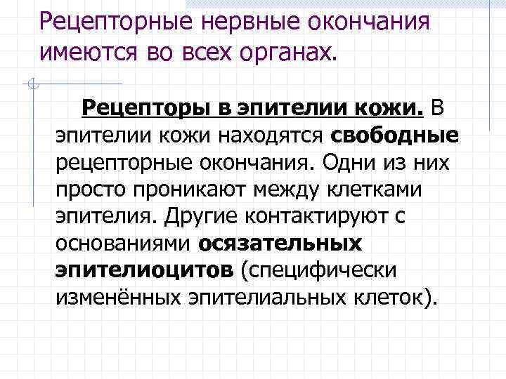 Рецепторные нервные окончания имеются во всех органах. Рецепторы в эпителии кожи. В эпителии кожи