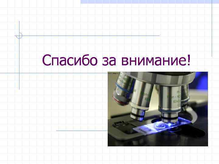 Спасибо за внимание! 