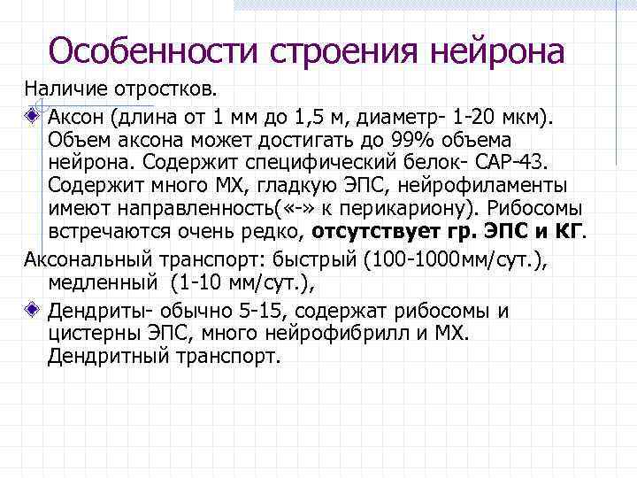 Особенности строения нейрона Наличие отростков. Аксон (длина от 1 мм до 1, 5 м,