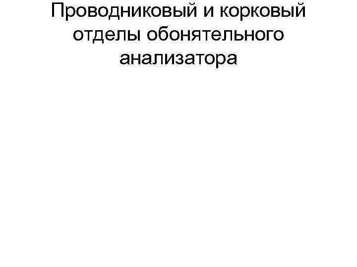 Проводниковый и корковый отделы обонятельного анализатора 