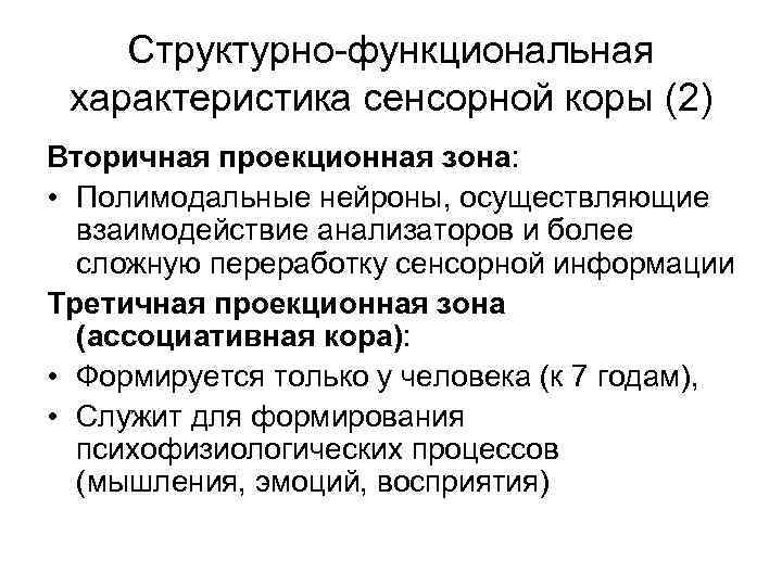 Структурно-функциональная характеристика сенсорной коры (2) Вторичная проекционная зона: • Полимодальные нейроны, осуществляющие взаимодействие анализаторов
