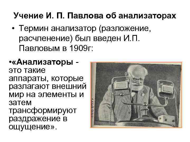 Учение И. П. Павлова об анализаторах • Термин анализатор (разложение, расчленение) был введен И.