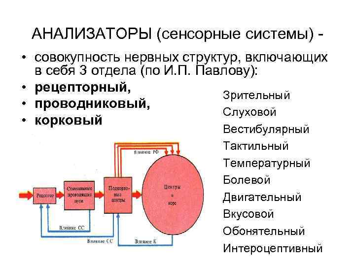 Сенсорные анализаторы