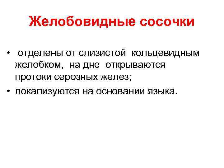 Желобовидные сосочки • отделены от слизистой кольцевидным желобком, на дне открываются протоки серозных желез;