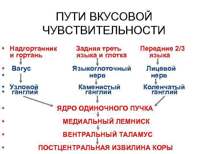 ПУТИ ВКУСОВОЙ ЧУВСТВИТЕЛЬНОСТИ • Надгортанник и гортань • • • Узловой • ганглий Передние