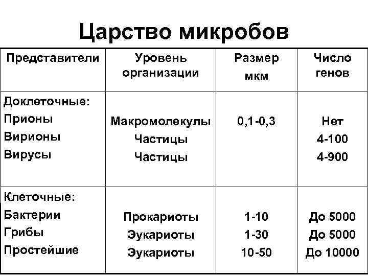 Царство микробов Представители Доклеточные: Прионы Вирусы Клеточные: Бактерии Грибы Простейшие Уровень организации Размер мкм