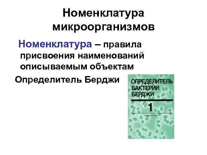 Номенклатура микроорганизмов Номенклатура – правила присвоения наименований описываемым объектам Определитель Берджи 