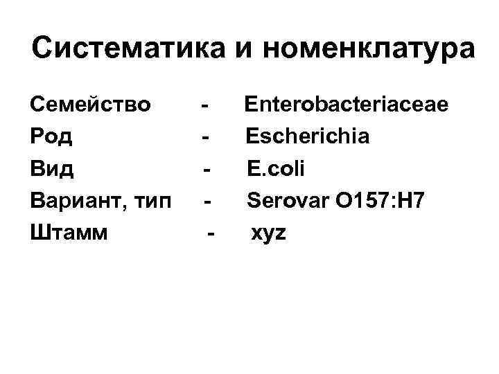 Систематика и номенклатура Семейство Род Вид Вариант, тип Штамм - Enterobacteriaceae Escherichia E. coli