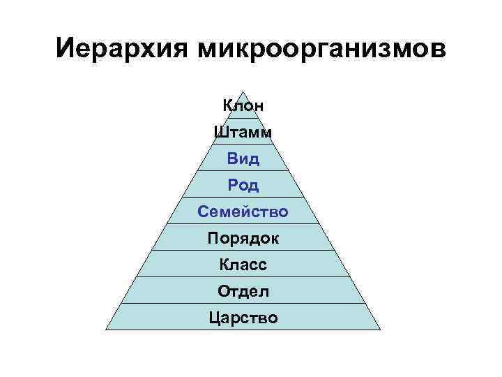 Нарисовать иерархию онлайн