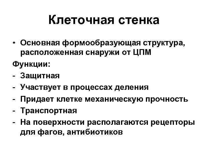 Клеточная стенка • Основная формообразующая структура, расположенная снаружи от ЦПМ Функции: - Защитная -