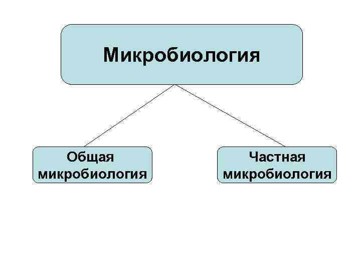 Микробиология Общая микробиология Частная микробиология 