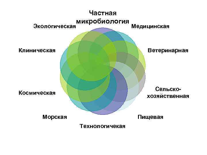 Частная микробиология Экологическая Медицинская Клиническая Ветеринарная Космическая Сельскохозяйственная Пищевая Морская Технологичекая 