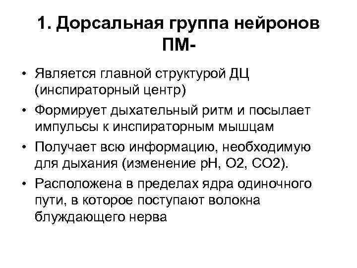 1. Дорсальная группа нейронов ПМ • Является главной структурой ДЦ (инспираторный центр) • Формирует