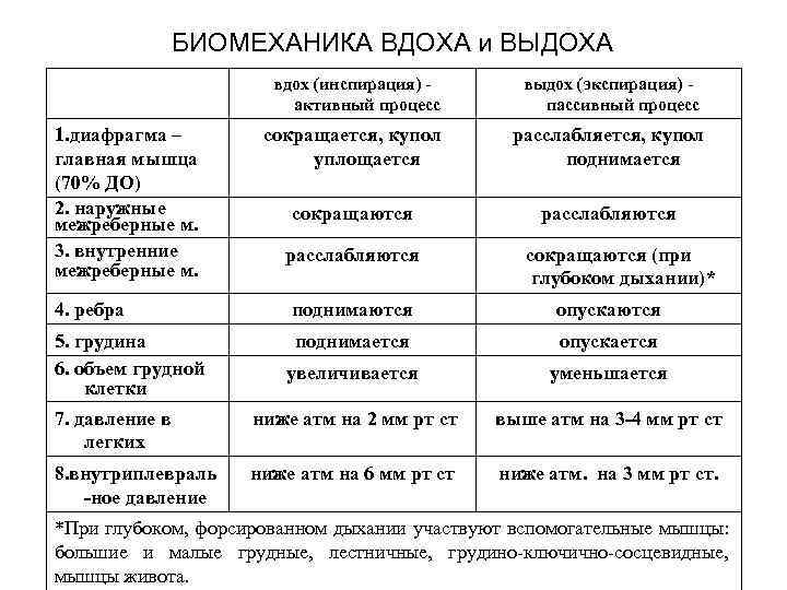 Заполните словесную схему механизма дыхания