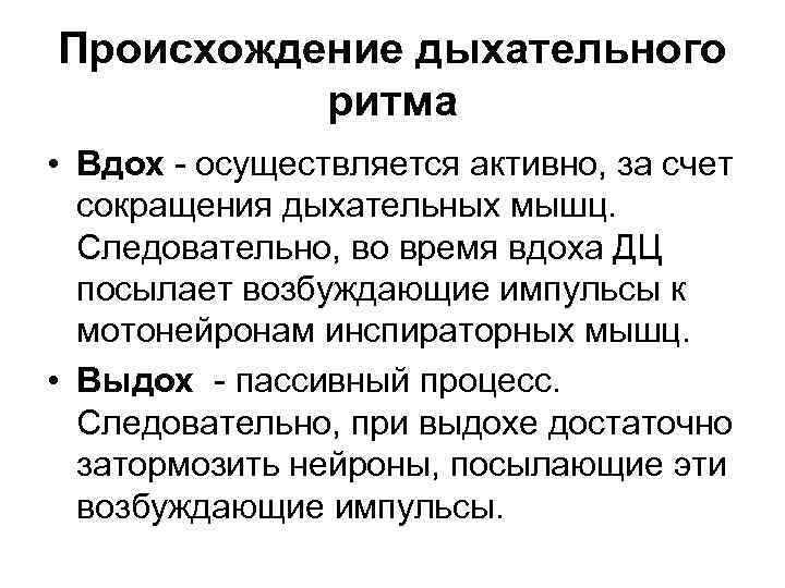 Происхождение дыхательного ритма • Вдох - осуществляется активно, за счет сокращения дыхательных мышц. Следовательно,