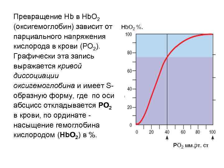 Превращение Hb в Hb. O 2 (оксигемоглобин) зависит от парциального напряжения кислорода в крови