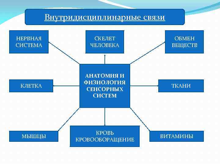 Внутридисциплинарные связи НЕРВНАЯ СИСТЕМА КЛЕТКА МЫШЦЫ СКЕЛЕТ ЧЕЛОВЕКА АНАТОМИЯ И ФИЗИОЛОГИЯ СЕНСОРНЫХ СИСТЕМ КРОВЬ