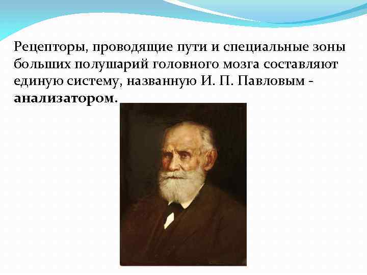 Рецепторы, проводящие пути и специальные зоны больших полушарий головного мозга составляют единую систему, названную