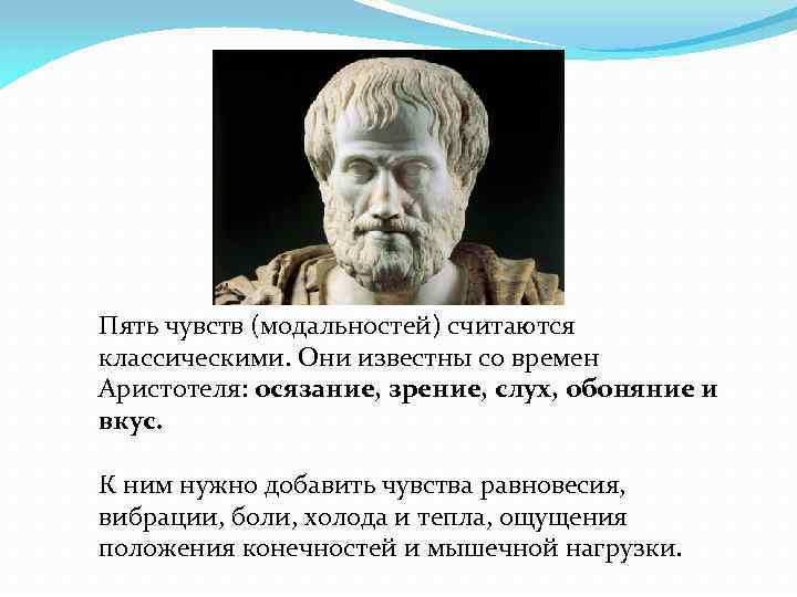 Пять чувств (модальностей) считаются классическими. Они известны со времен Аристотеля: осязание, зрение, слух, обоняние