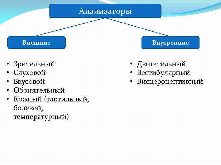 Анализаторы Внешние • • • Зрительный Слуховой Вкусовой Обонятельный Кожный (тактильный, болевой, температурный) Внутренние