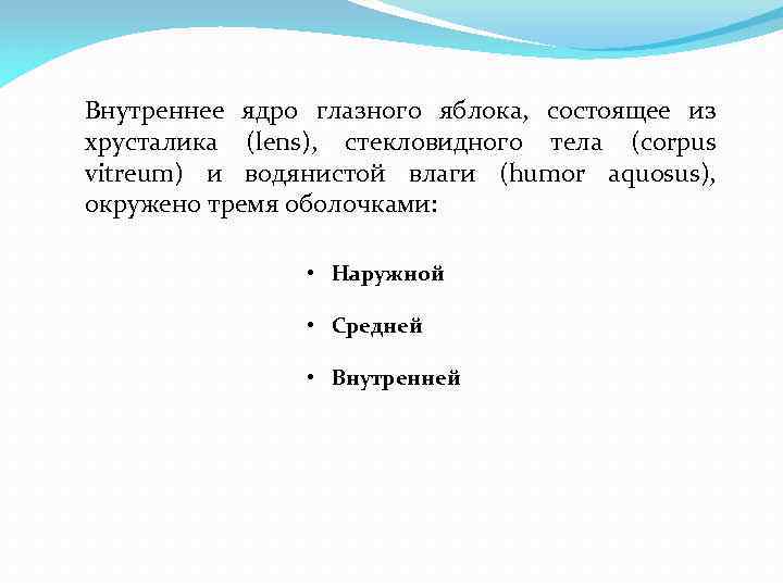 Внутреннее ядро глазного яблока, состоящее из хрусталика (lens), стекловидного тела (corpus vitreum) и водянистой