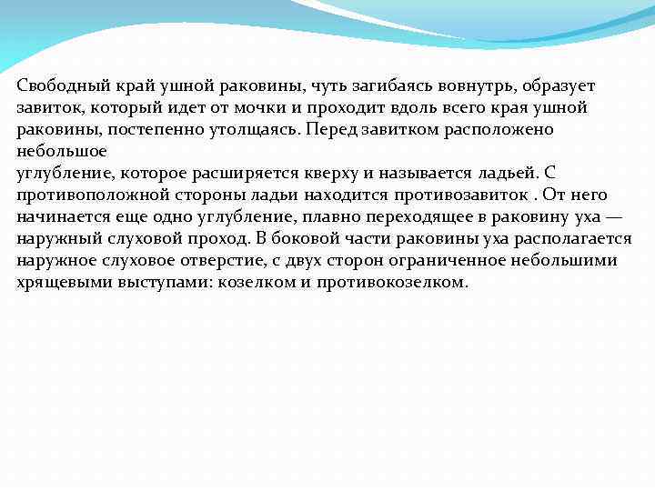 Свободный край ушной раковины, чуть загибаясь вовнутрь, образует завиток, который идет от мочки и