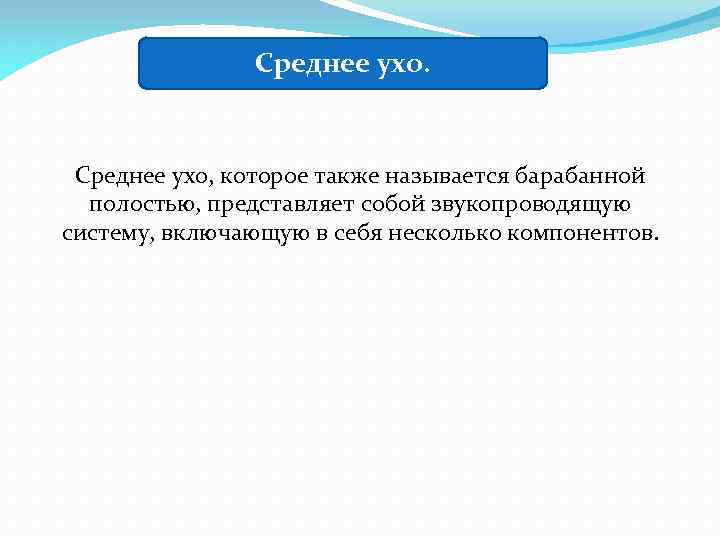 Среднее ухо. Среднее ухо, которое также называется барабанной полостью, представляет собой звукопроводящую систему, включающую