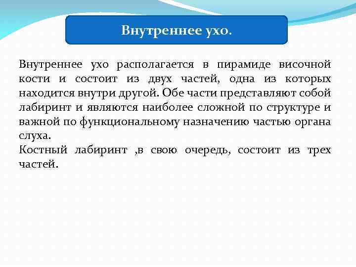 Внутреннее ухо располагается в пирамиде височной кости и состоит из двух частей, одна из