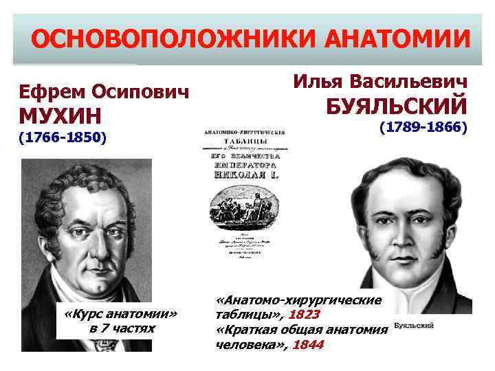 ОСНОВОПОЛОЖНИКИ АНАТОМИИ Ефрем Осипович МУХИН (1766 -1850) «Курс анатомии» в 7 частях Илья Васильевич