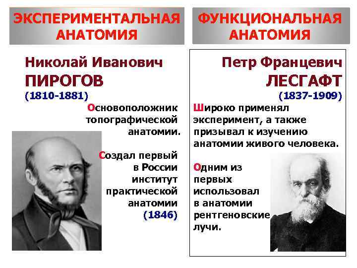 ЭКСПЕРИМЕНТАЛЬНАЯ ФУНКЦИОНАЛЬНАЯ АНАТОМИЯ Николай Иванович ПИРОГОВ (1810 -1881) Основоположник топографической анатомии. Создал первый в