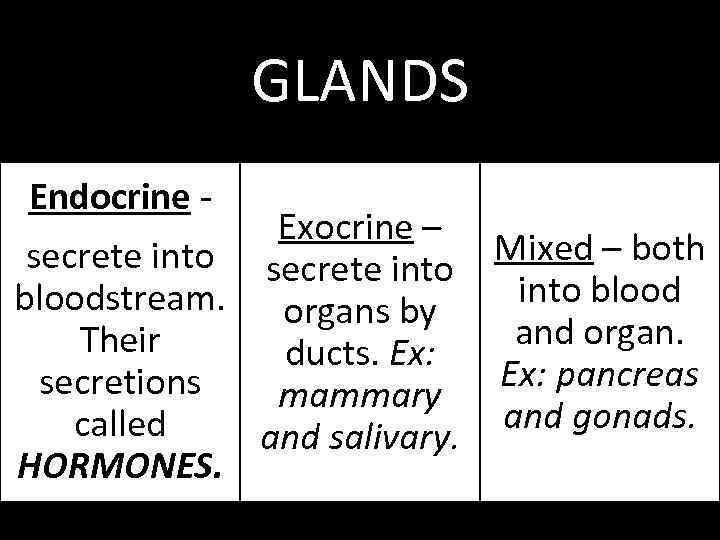 GLANDS Endocrine Exocrine – secrete into Mixed – both into bloodstream. organs by and